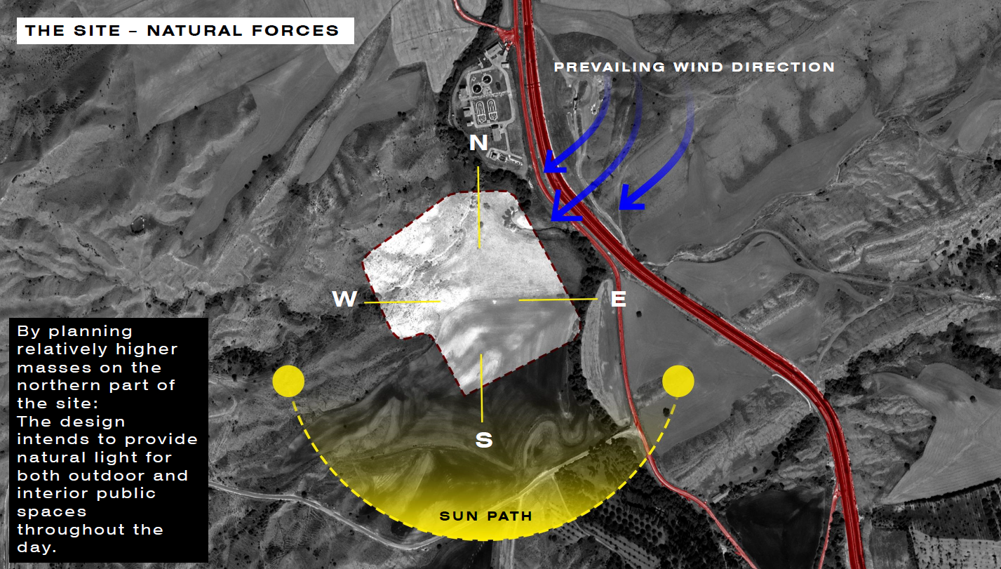Blog Detail Image